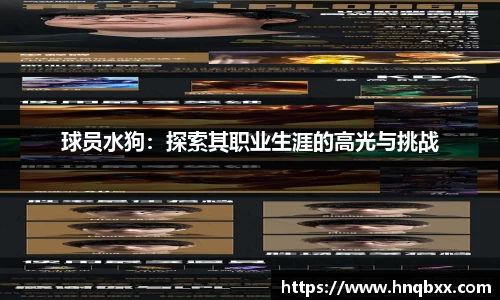 球员水狗：探索其职业生涯的高光与挑战